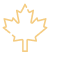 Icon of maple leaf