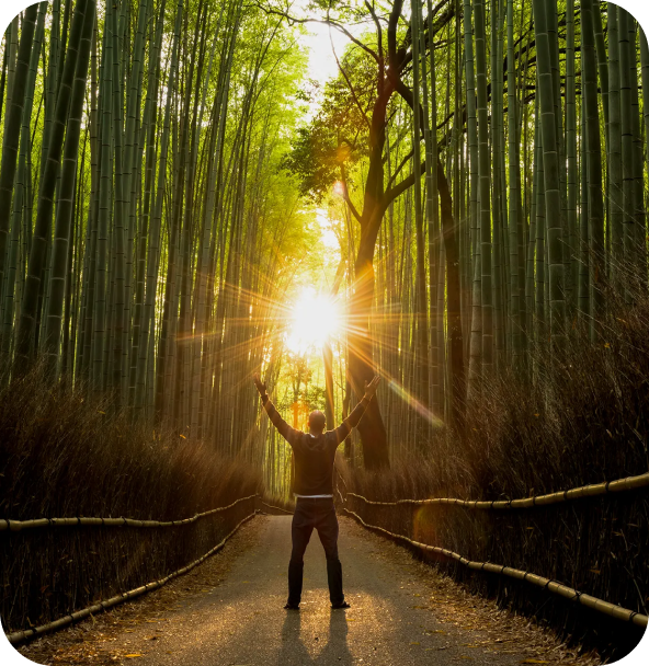 A man stands in the center of a trail in a forest with his hands raised while a low, bright sun shines off in the distance, just above his arms.
